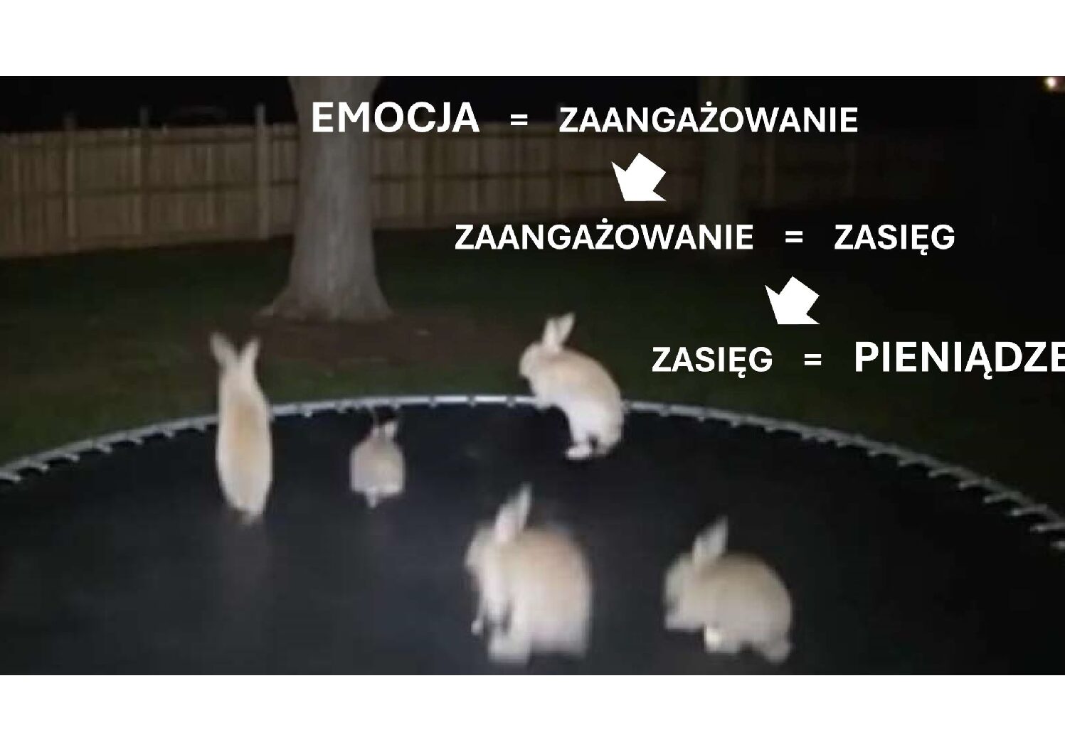 Read more about the article O zagrożeniach sztucznej inteligencji, czyli… strzeż się słodkich króliczków.